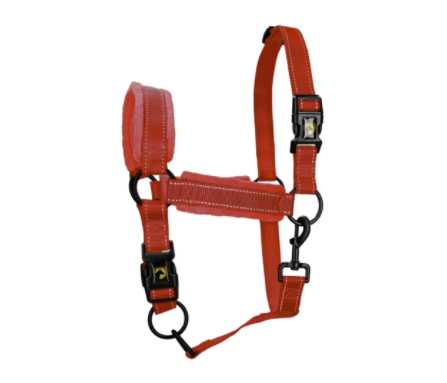 Monzo Headcollar, halter