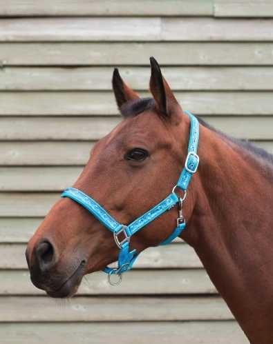 Bermuda Headcollar, halter