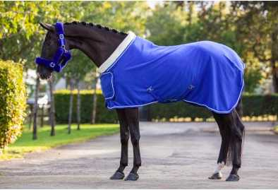 Antone horse rug