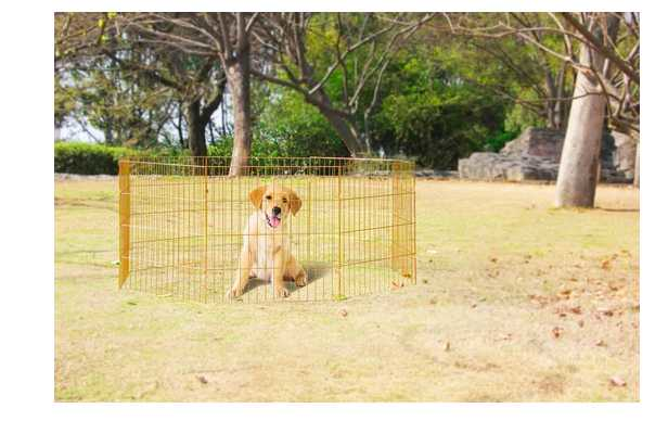 Dog fencing L