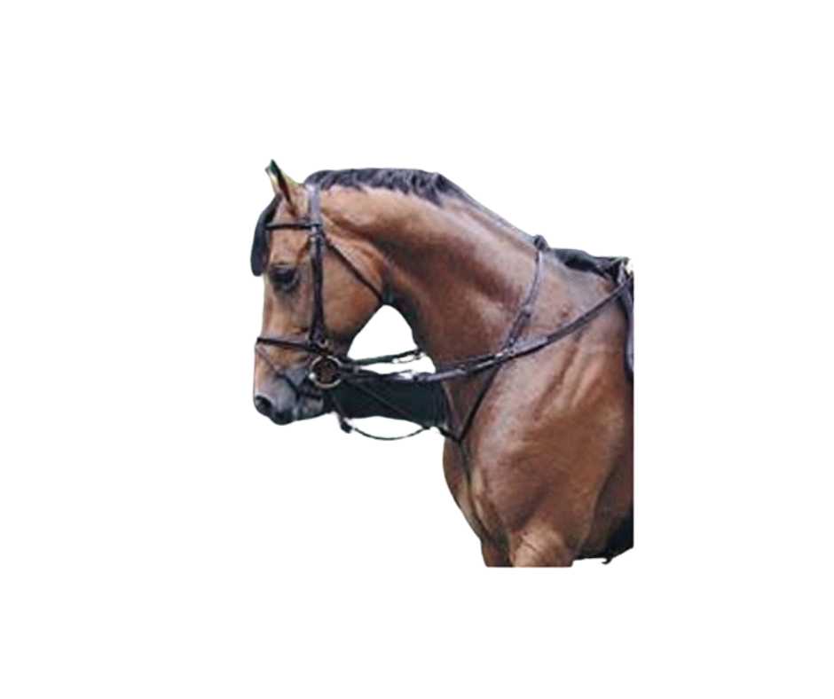 Thiedemann reins