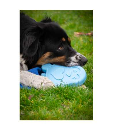 Cooling dog toy