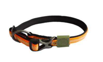 Dog basic collar M