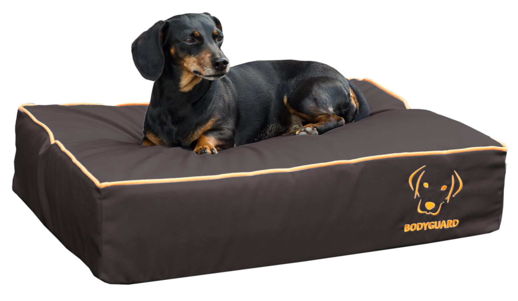 Royal dog bed S