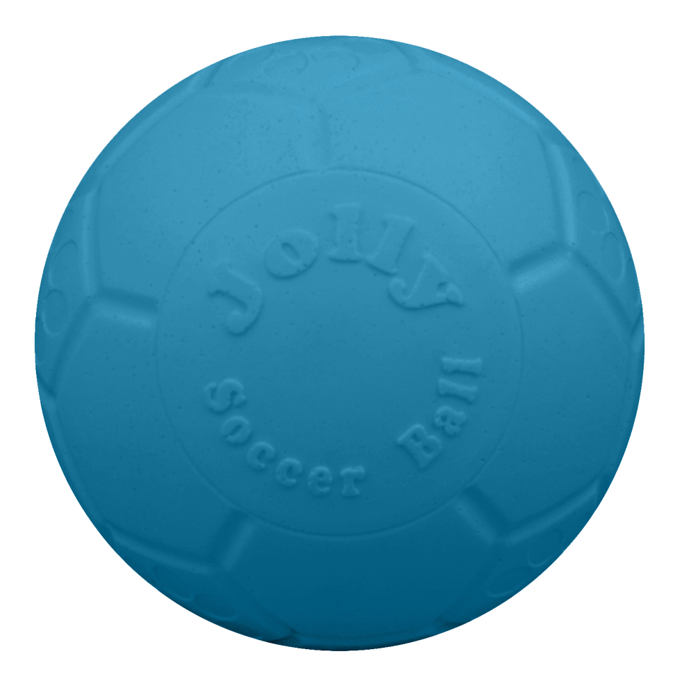 Football for dogs 20cm