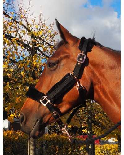 Tivoli Headcollar, halter