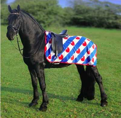 Adino horse rug