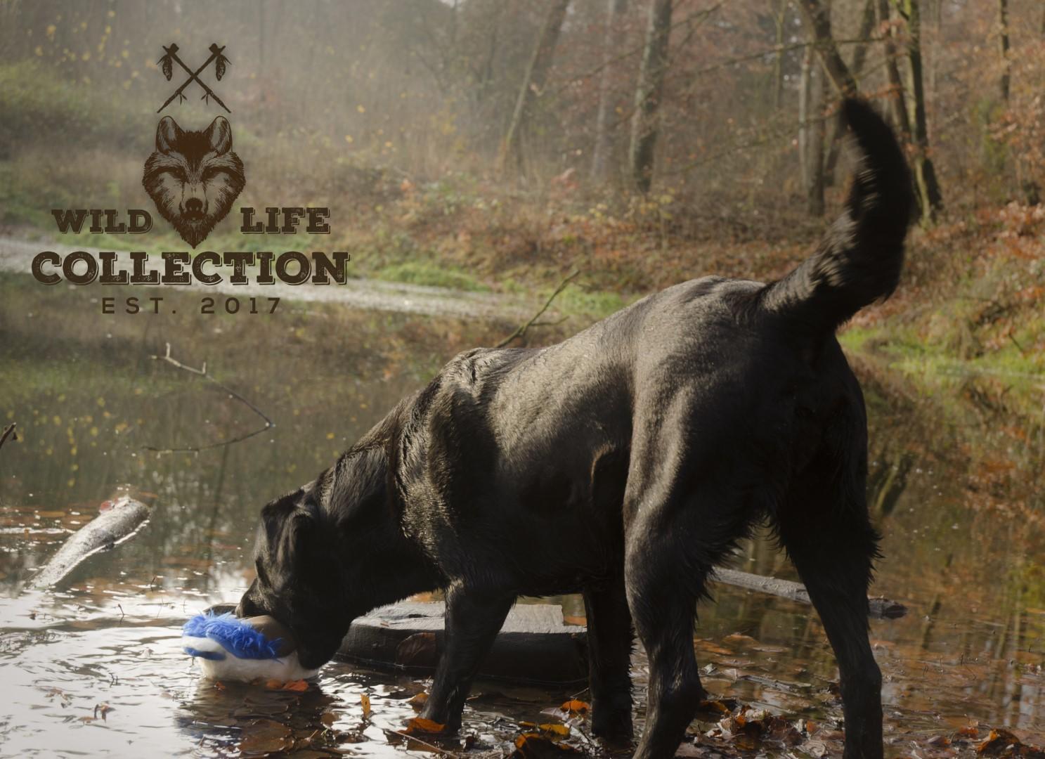 Wild duck dog toy plush