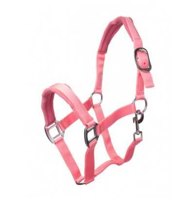 Trani headcollar, halter lined for shetland pony