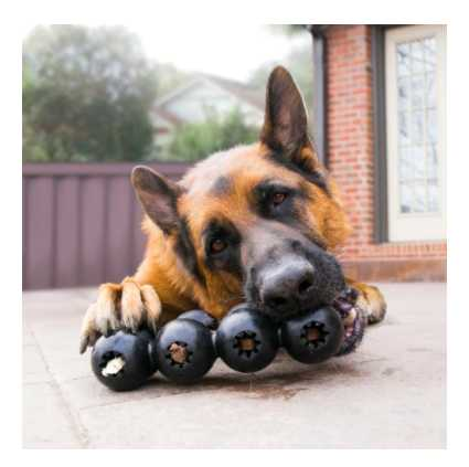 Dog chew toy L