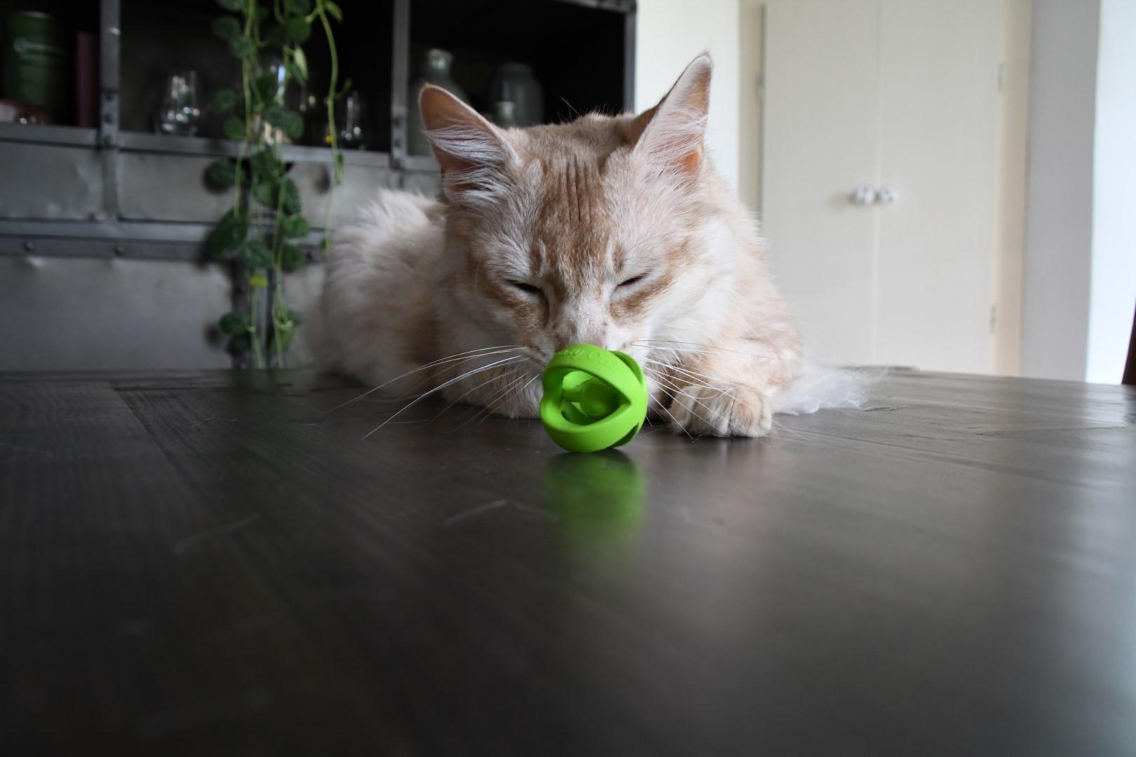 Wacky Wobbler Green ball cat toy