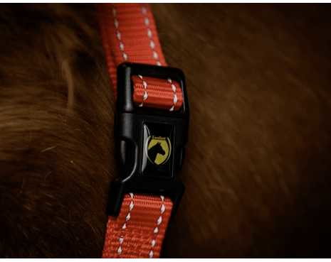 Monza Headcollar, halter