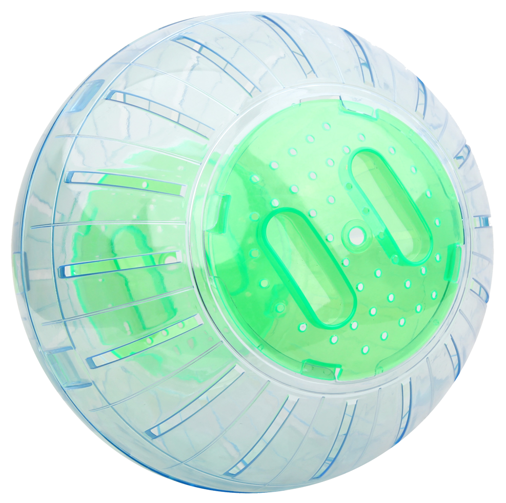 Exercise ball 25 cm, pet rodent
