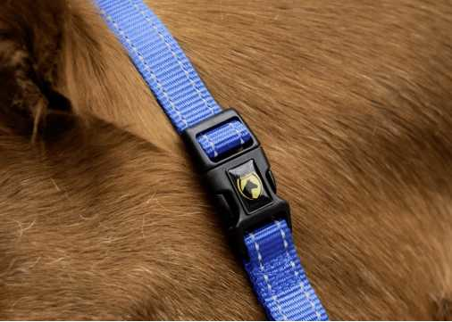 Monzo Headcollar, halter
