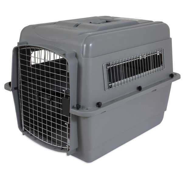 Sky travelling with dog kennel XL