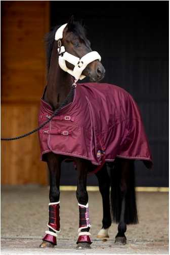 Katy Showtime winter horse rug