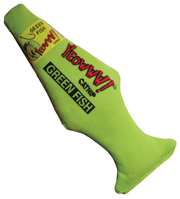 Green fish stuffed with catnip cat toy