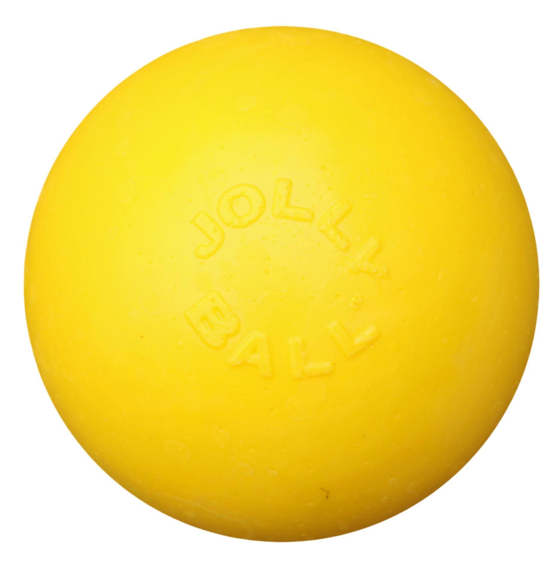 Bounce-n Play 15cm dog ball