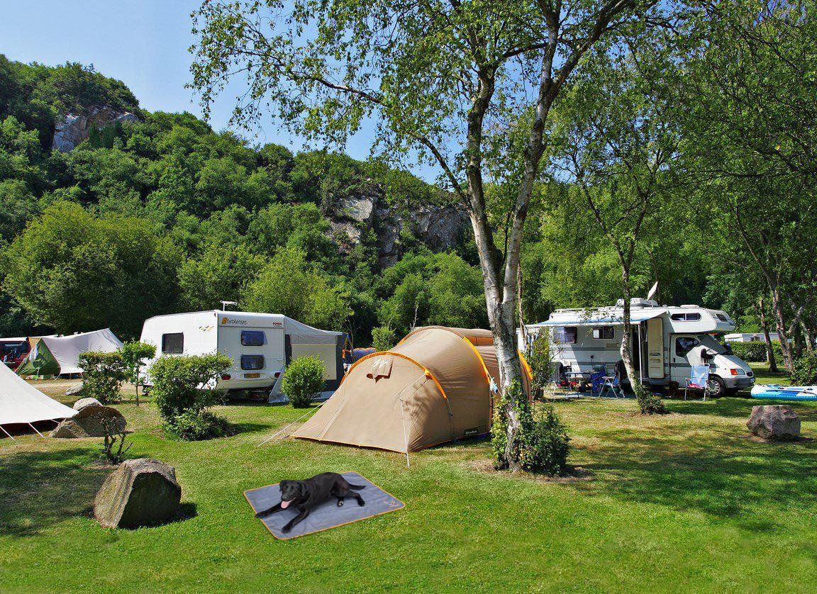 Bodyguard dog blanket grey