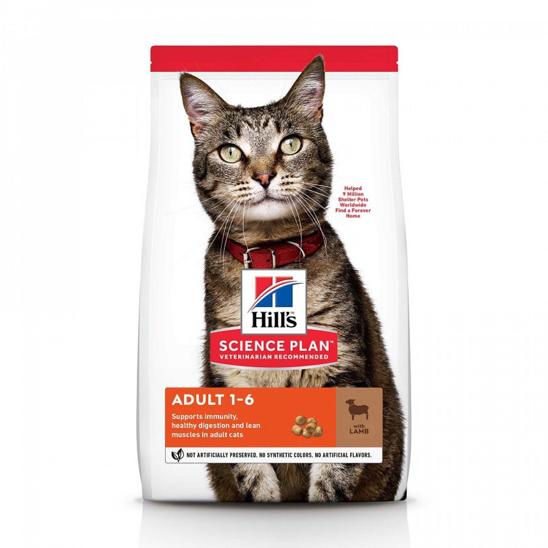 SP FELINE ADULT LAMB RICE 300 G dry cat food