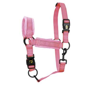 Monzo Headcollar, halter