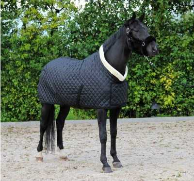 Showtime Desir horse rug