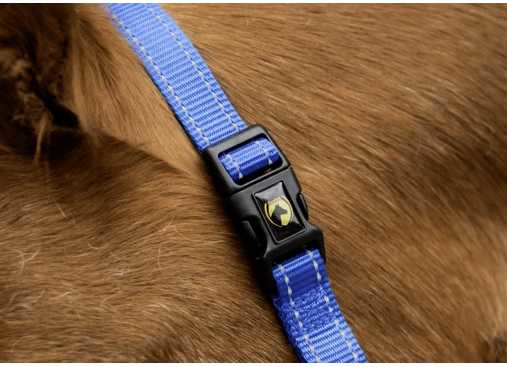Monza Headcollar, halter