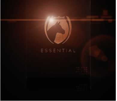 Monza Headcollar, halter