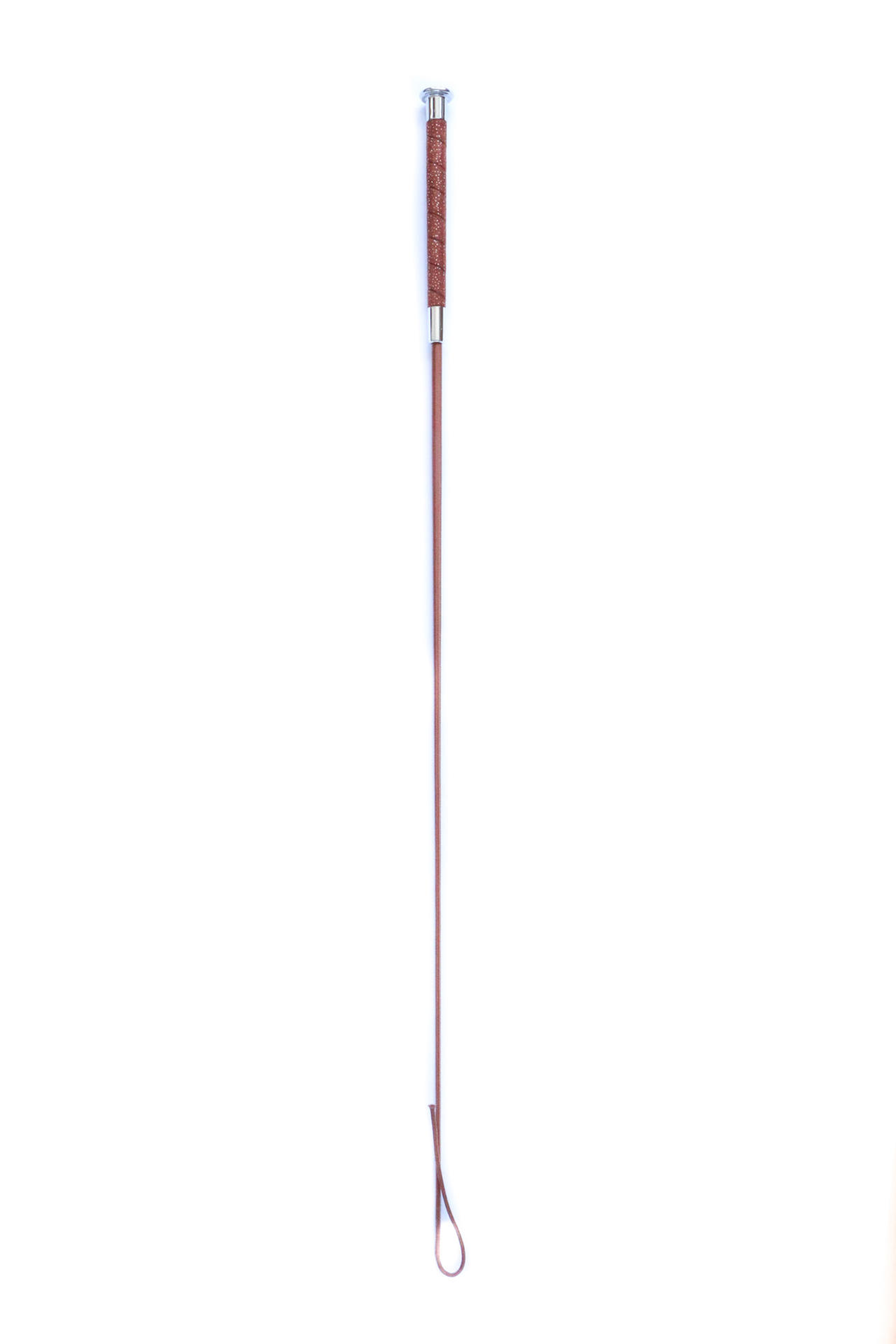 Aby dressage whip