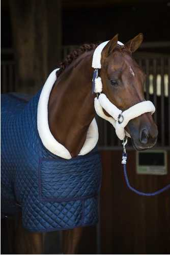 Showtime Desiro horse rug