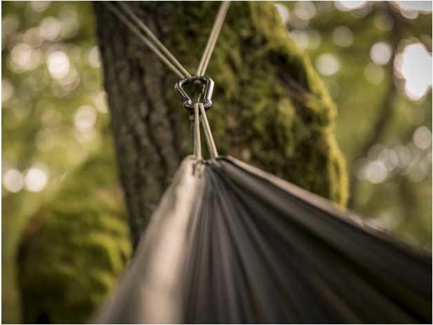 Tropical hammock