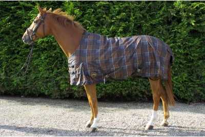 Denier winter horse rug