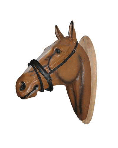 Bonfire bridle