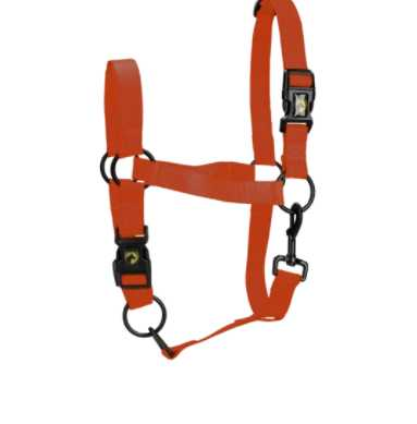 Monza Headcollar, halter