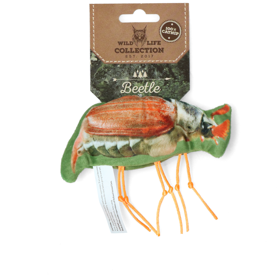 Beetle cat toy filled with catnip