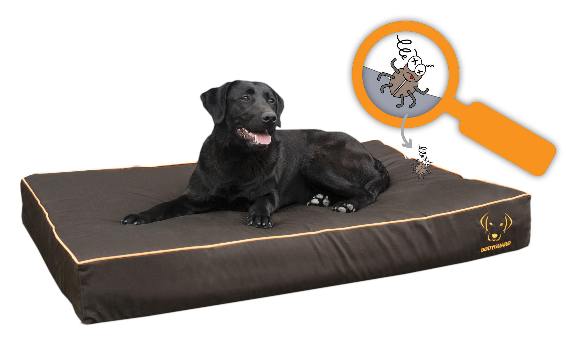 Royal dog bed S