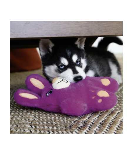 Plush beeping dog toy Koala