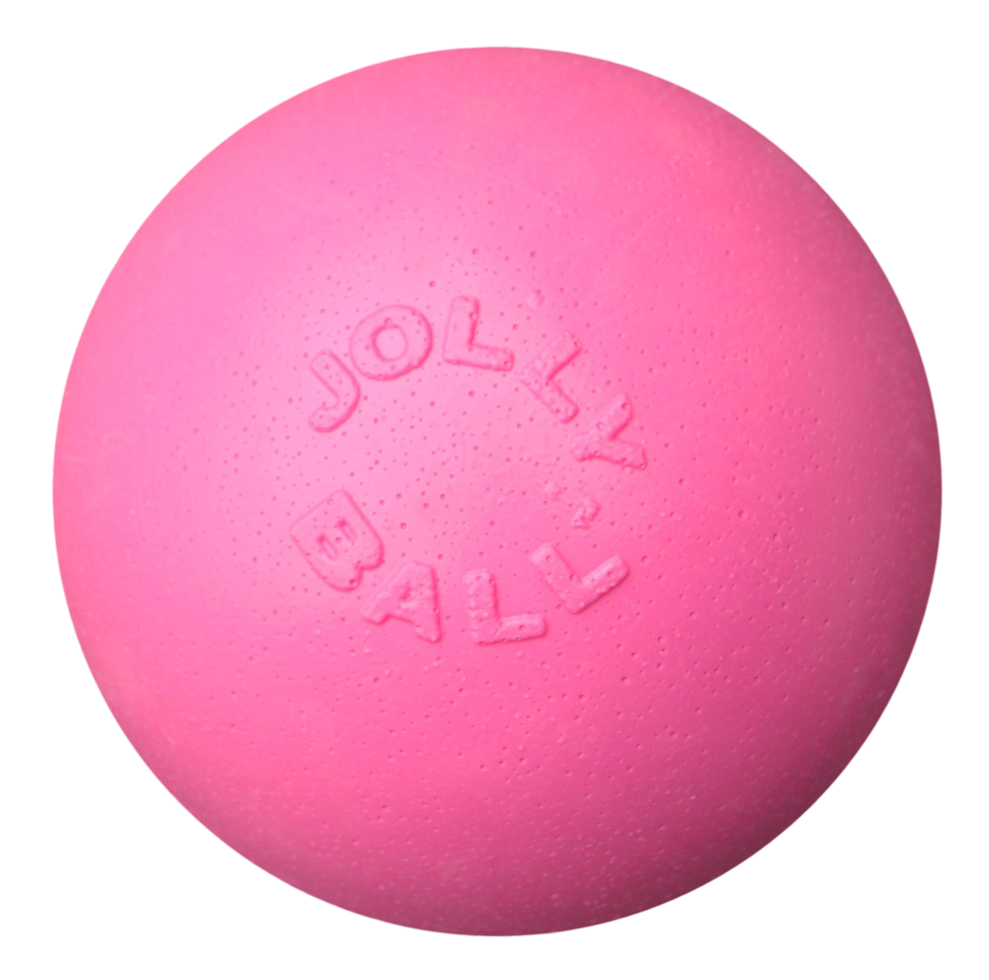Bounce-n Play 15cm dog ball