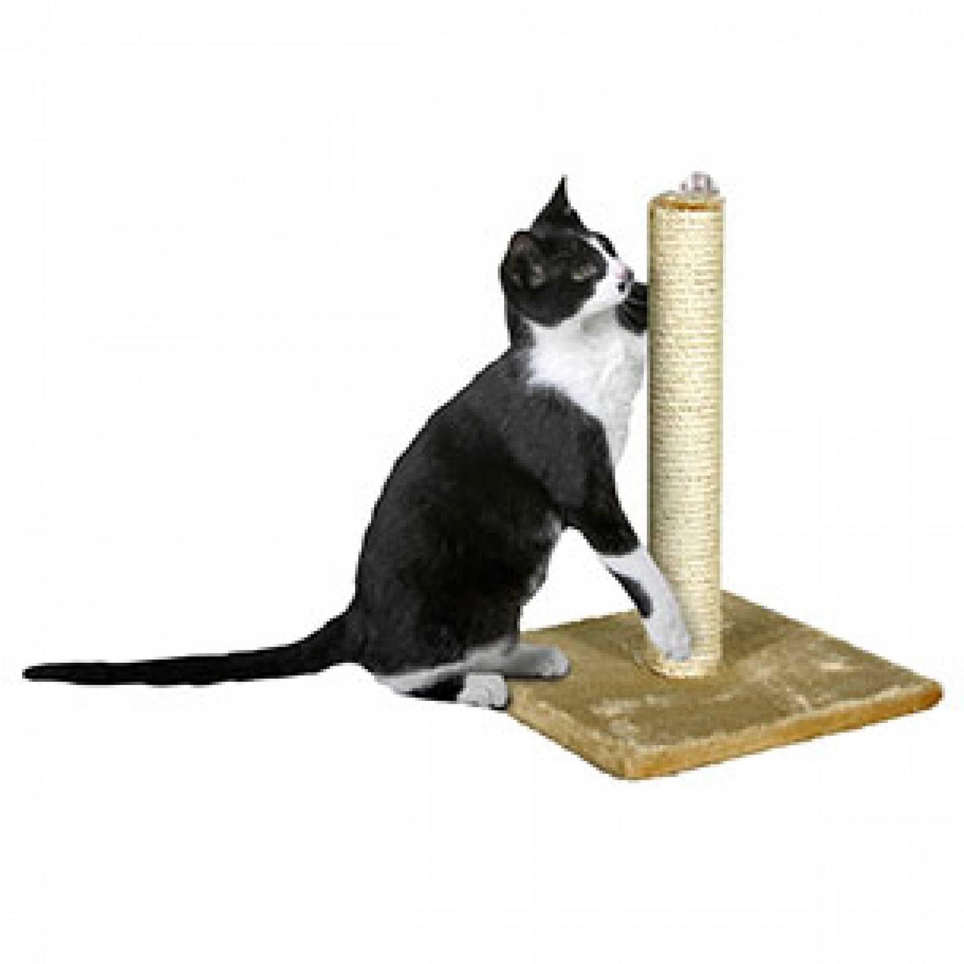 Scratch wood beige 29x29x39 cm cat beds furniture