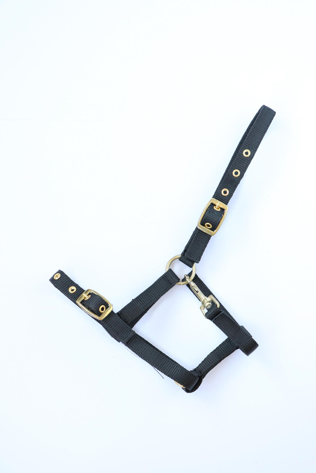Princess headcollar, halter for foal