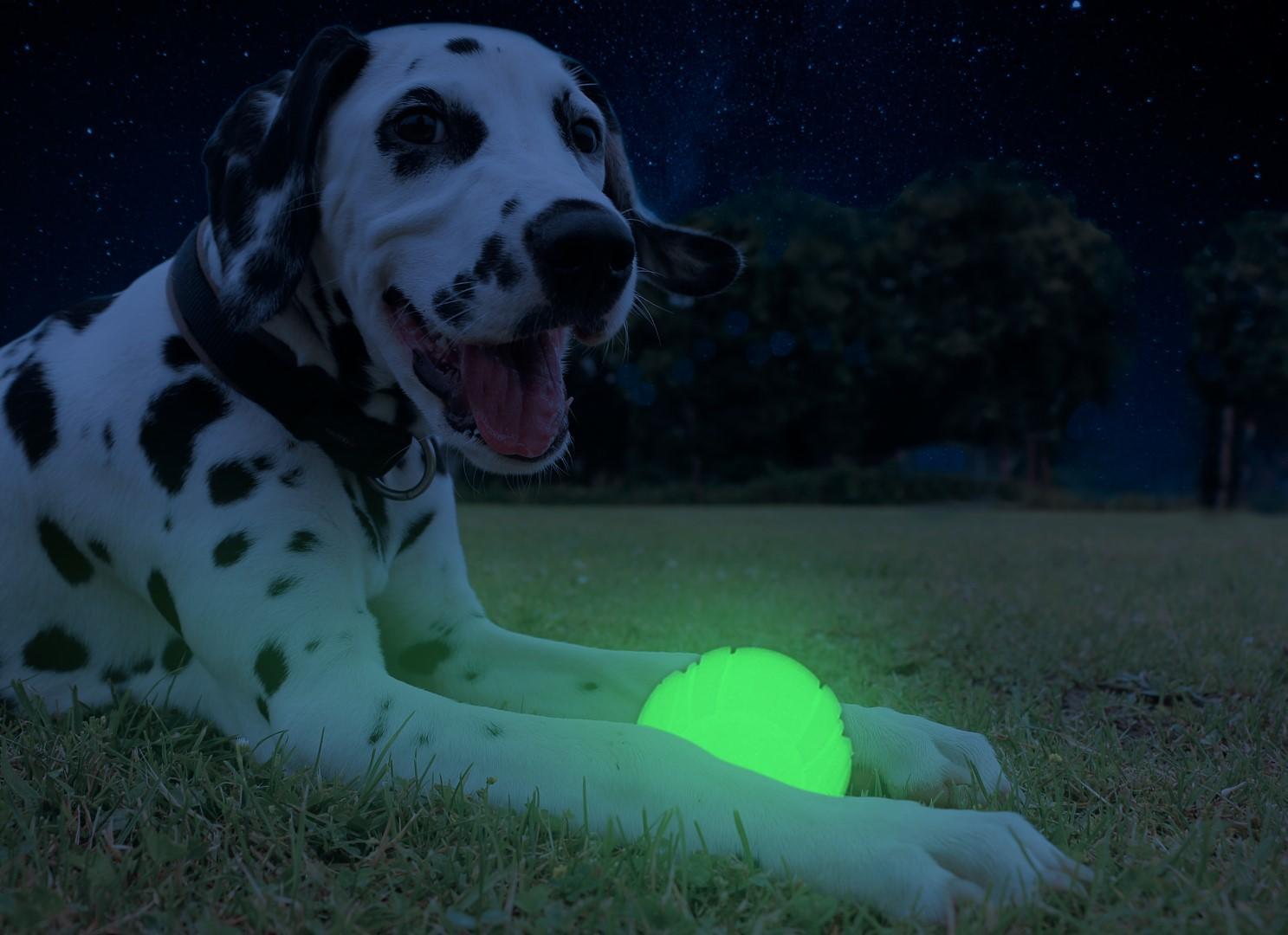 Glow in the dark dog ball