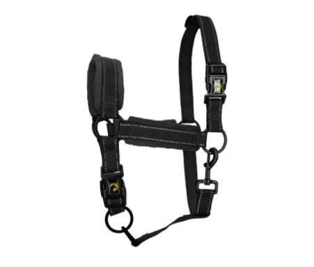 Monzo Headcollar, halter