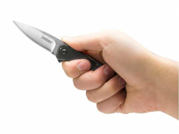 Folding knife Amplitude 3870