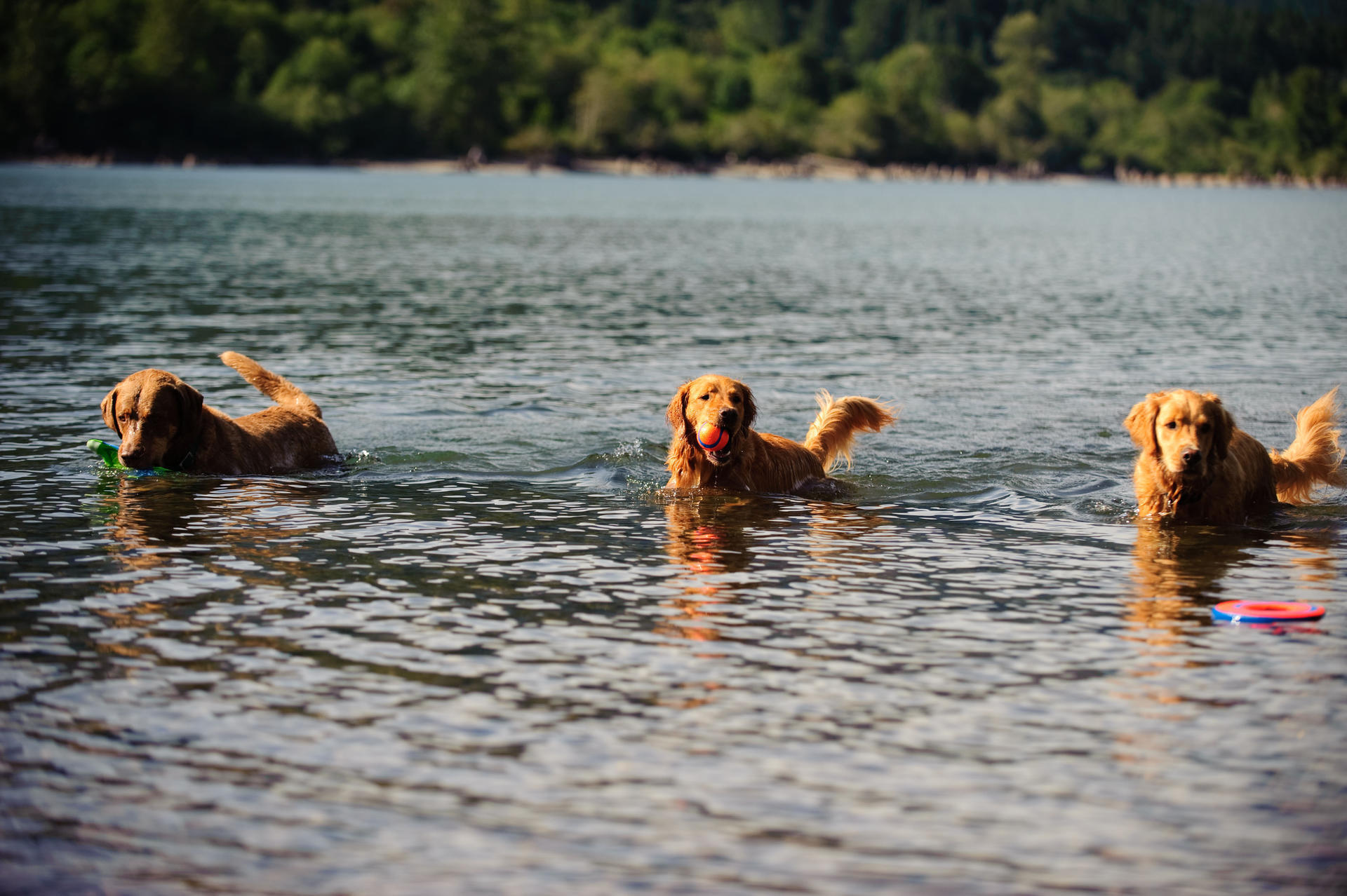 Rubber ball 5 cm 2 pieces