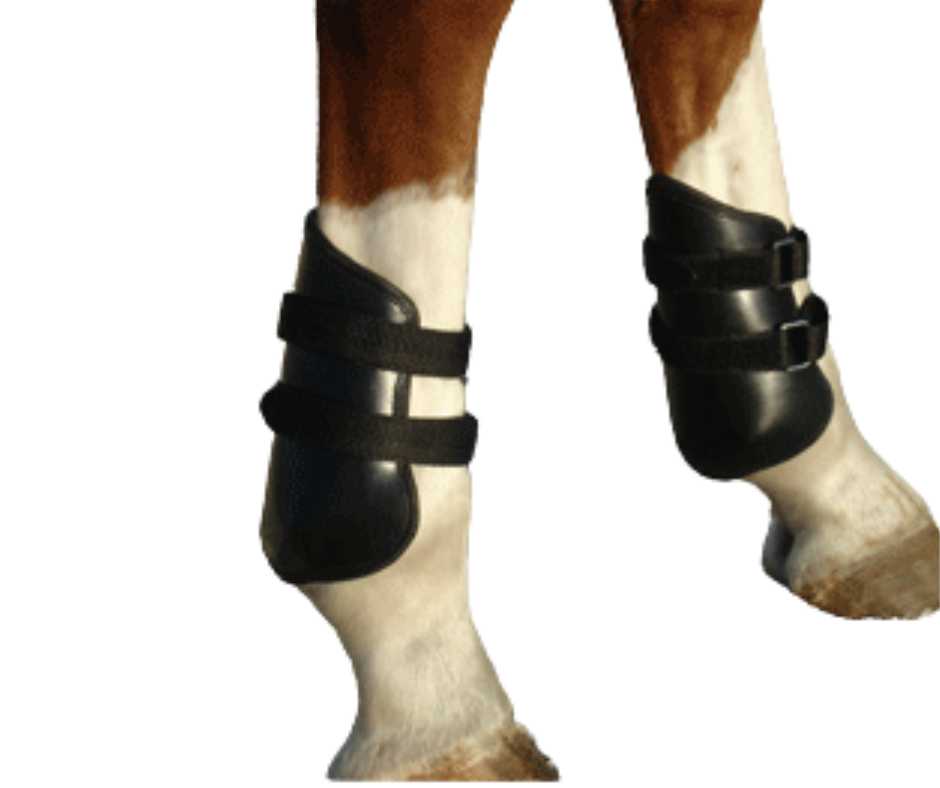 Harry fetlock boots