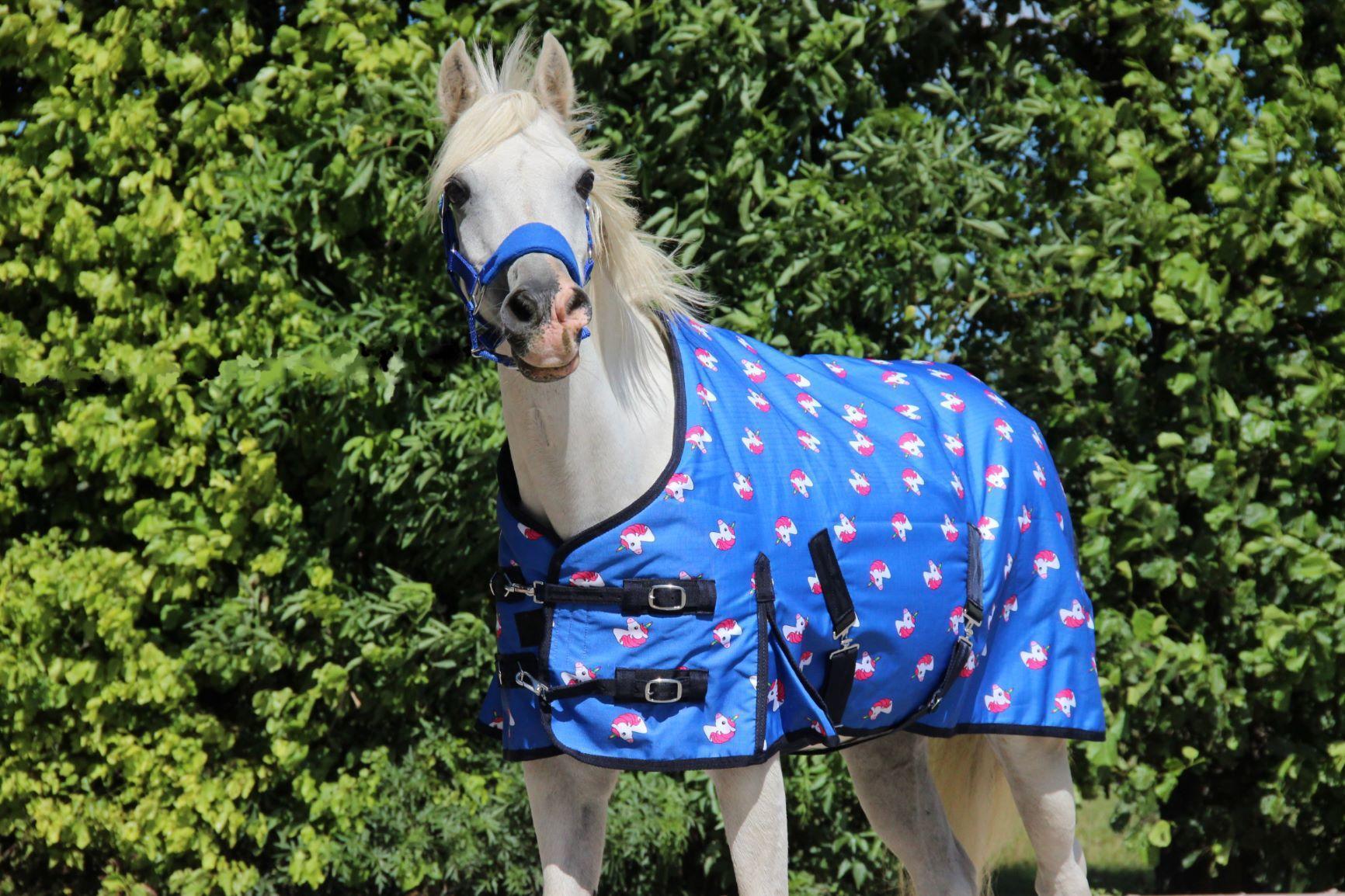 Harry and Hector Unicorn Pony horse rug