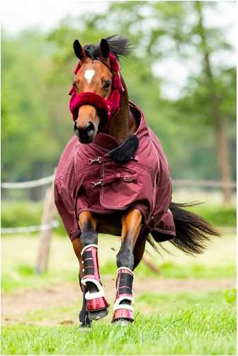 Katy Showtime winter rug