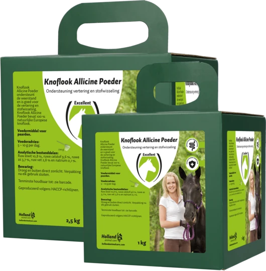 Allicin garlic powder 2,0 kg