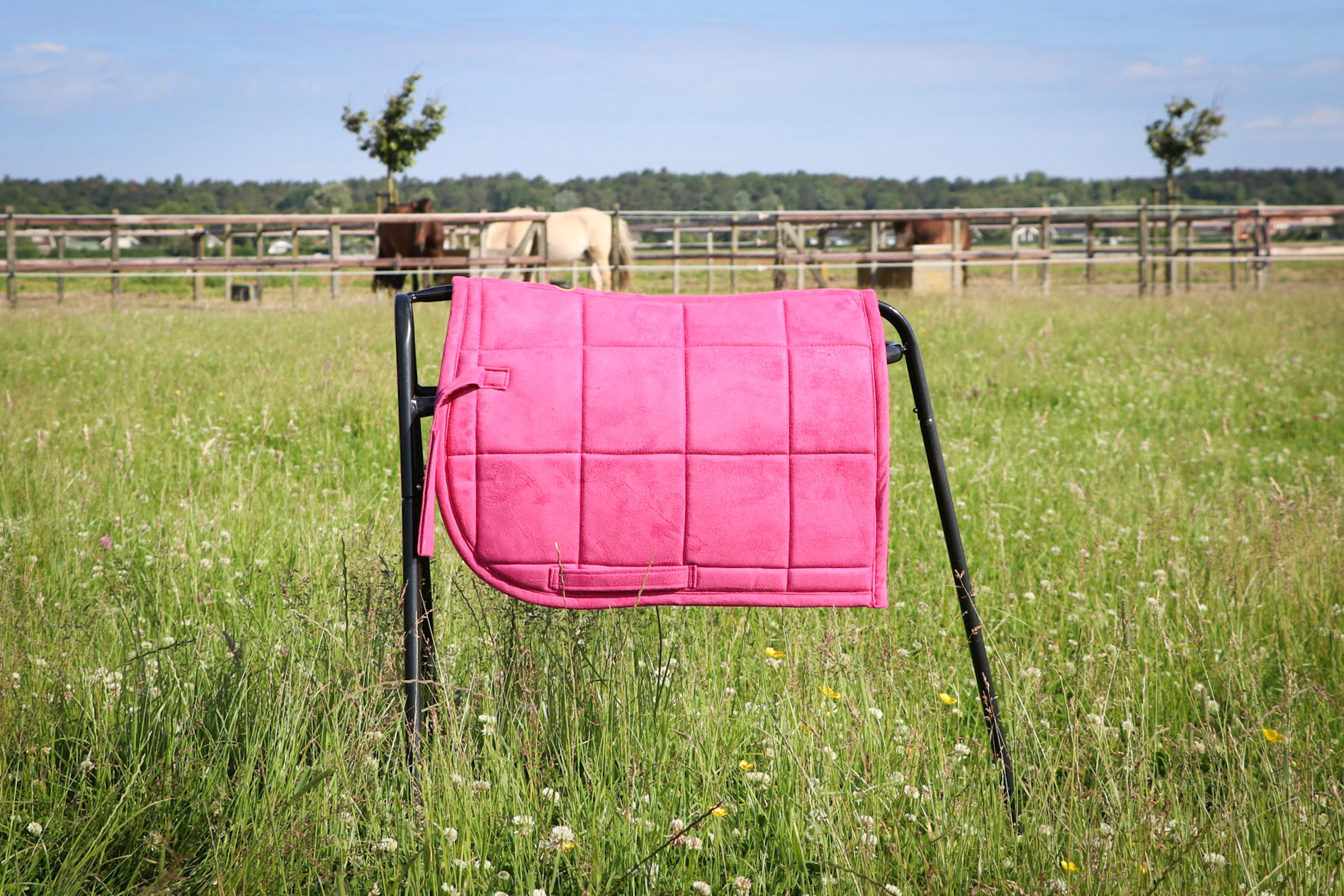 Saddle pads for Shetland pony