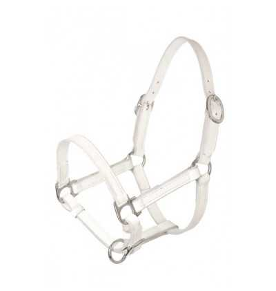Headcollar and halter baby foal